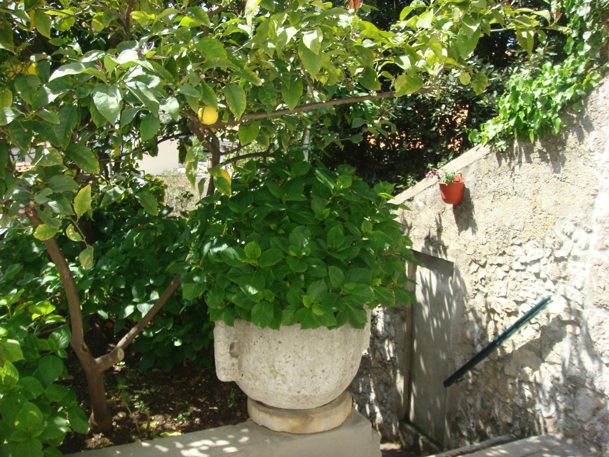 Guesthouse Manda Dubrownik Zewnętrze zdjęcie